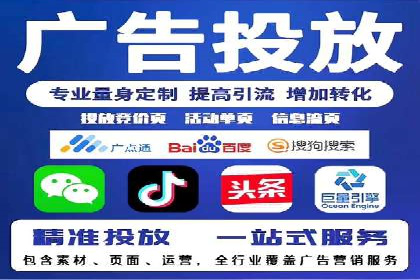 专业SEM服务公司案例分析报告